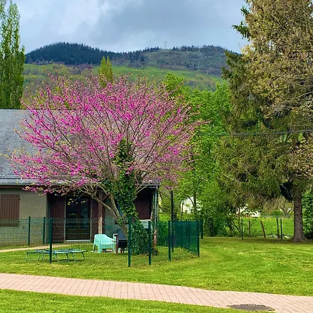 La Suite Unique - Le Jardin Sur Les Pyrenees- Vue Panoramique Montagne -Jardin Cloture Prive De 100M2-Parking-Linge De Lit Et Serviettes Compris- Bielle Exterior photo