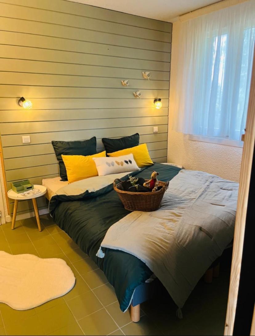 Apartment La Unique - Le Jardin Sur Les Pyrenees- Vue Panoramique Montagne -jardin Cloture Prive De 100m2-parking-linge De Lit Et Serviettes Compris- Bielle