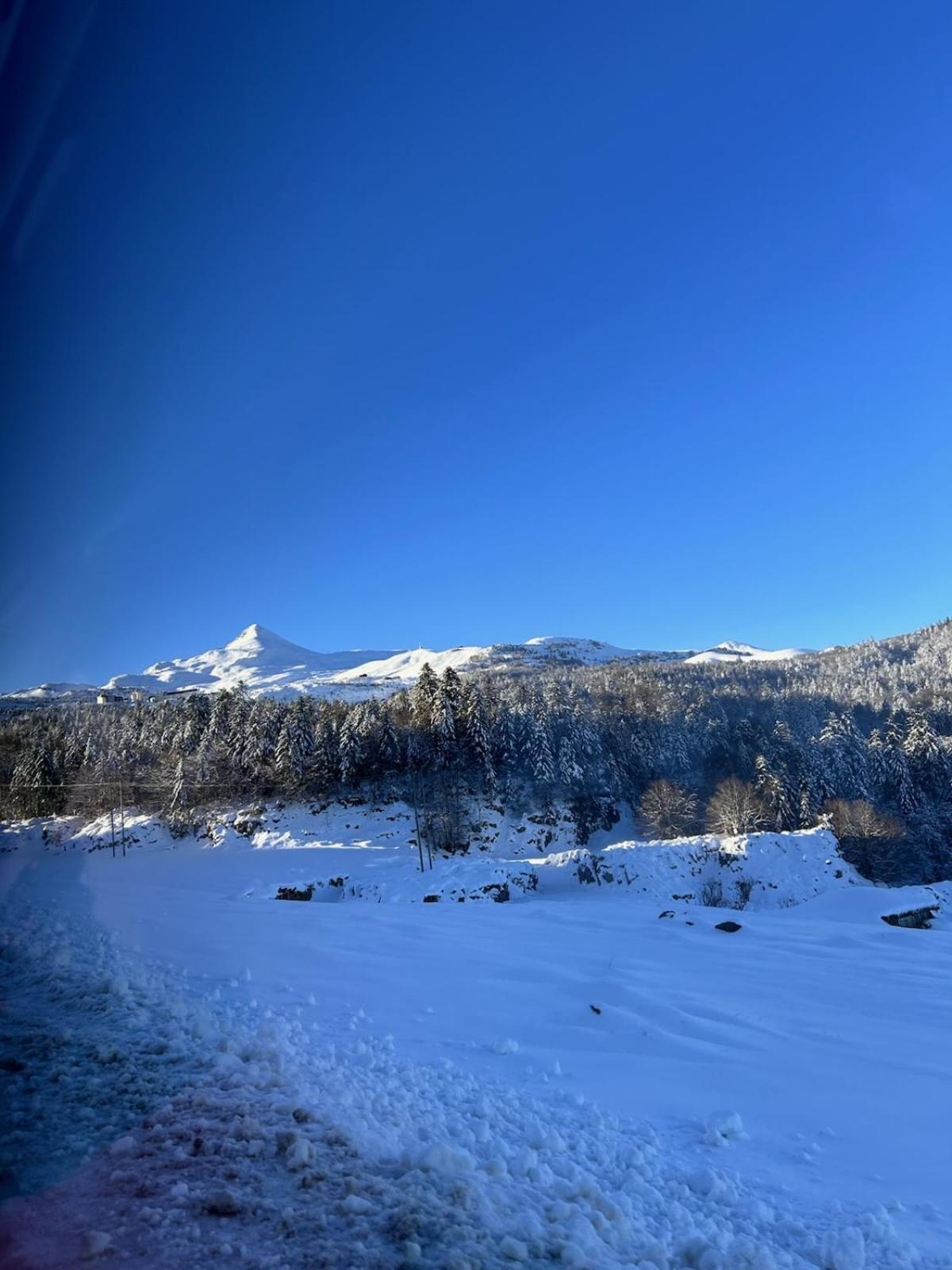 La Unique - Le Jardin Sur Les Pyrenees- Vue Panoramique Montagne -jardin Cloture Prive De 100m2-parking-linge De Lit Et Serviettes Compris- * Bielle