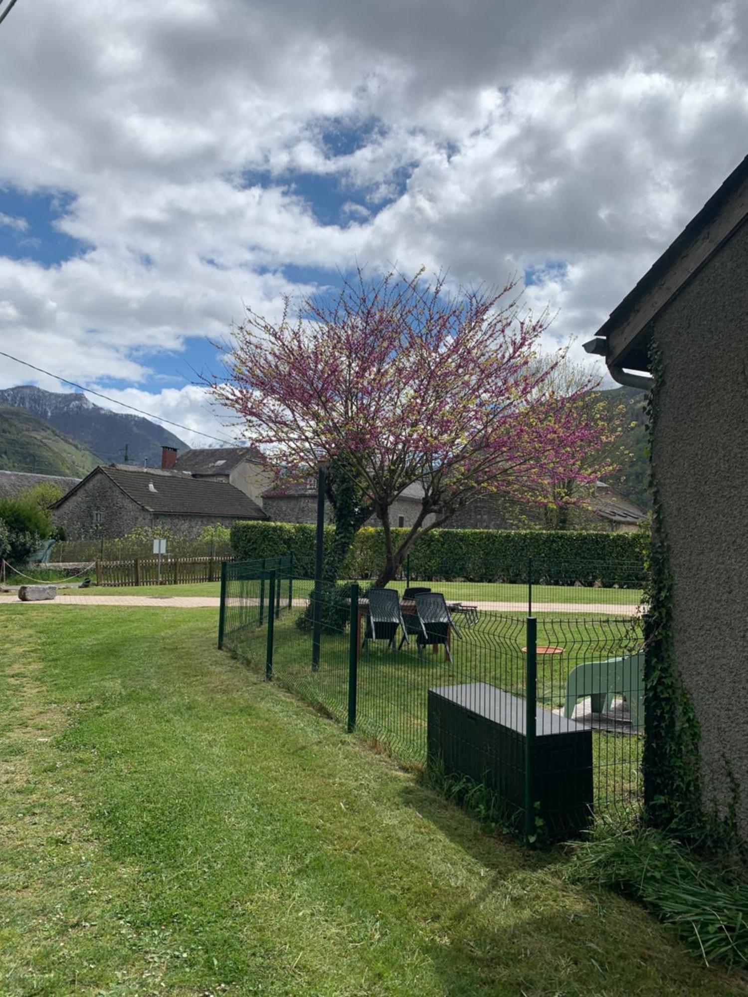 Apartment La Unique - Le Jardin Sur Les Pyrenees- Vue Panoramique Montagne -jardin Cloture Prive De 100m2-parking-linge De Lit Et Serviettes Compris- Bielle