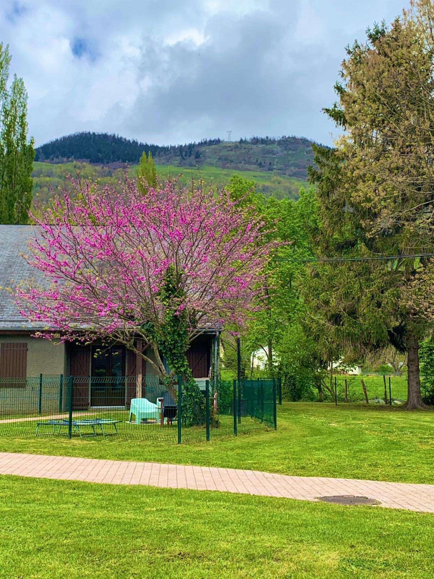 Apartment La Unique - Le Jardin Sur Les Pyrenees- Vue Panoramique Montagne -jardin Cloture Prive De 100m2-parking-linge De Lit Et Serviettes Compris-
